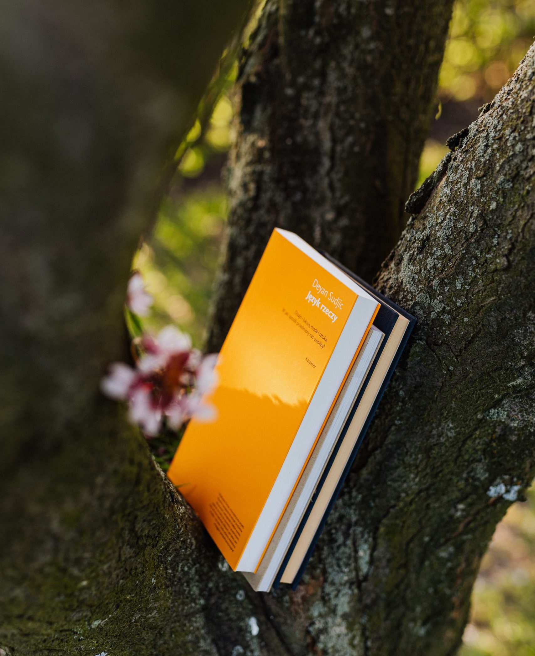 several books nestled in the crook of a tree